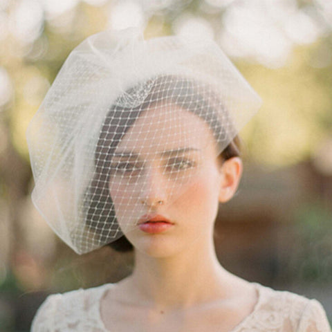 Fanciful Birdcage Veil