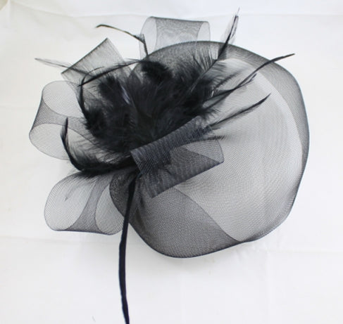 Birdcage Bridal Veil