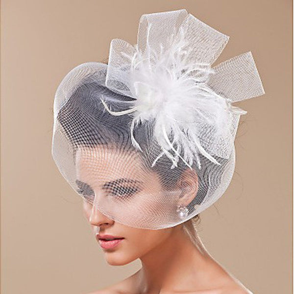 Birdcage Bridal Veil