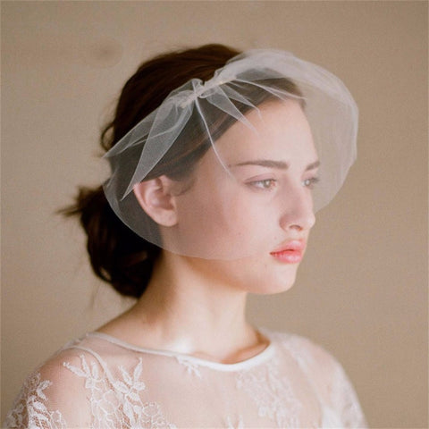Soft Birdcage Veil